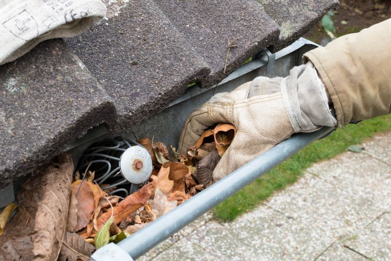 Clogged Gutter Clearing