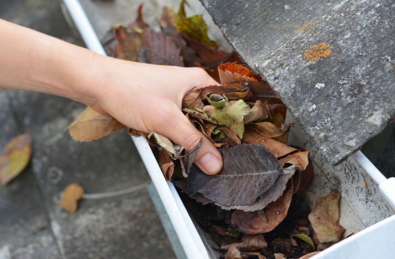 Clean Gutters with Leaf Removal