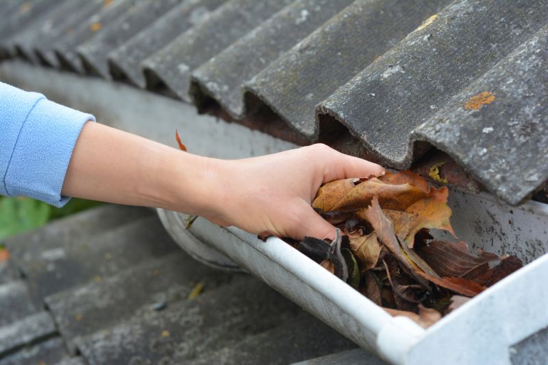 Gutter Inspection and Maintenance
