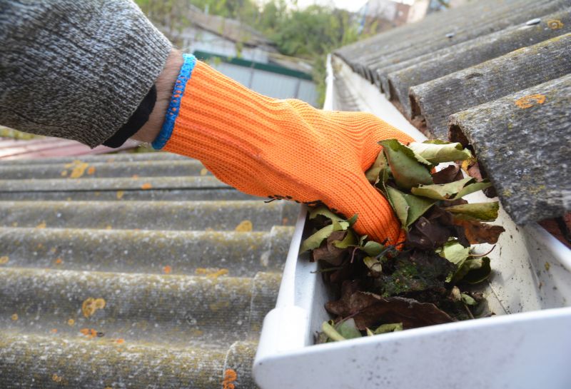 Gutter Debris Removal