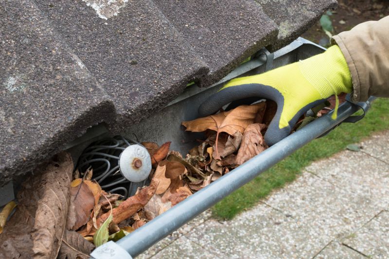Rain Gutter Cleaning Service