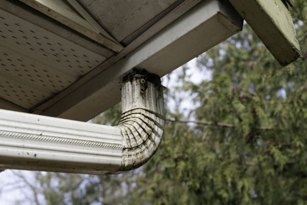 Downspout Cleaning in Fort Myers