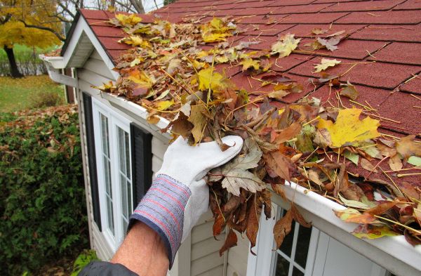 Rain Gutter Cleaning Service in Fort Myers