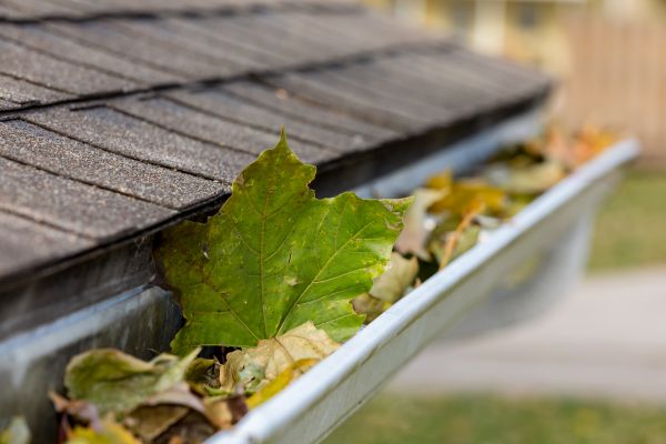Gutter System Cleaning in Fort Myers