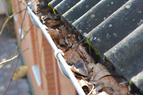 Home Gutter Cleaning in Fort Myers