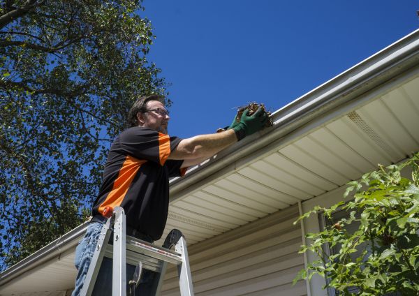 Building Gutter Cleaning in Fort Myers