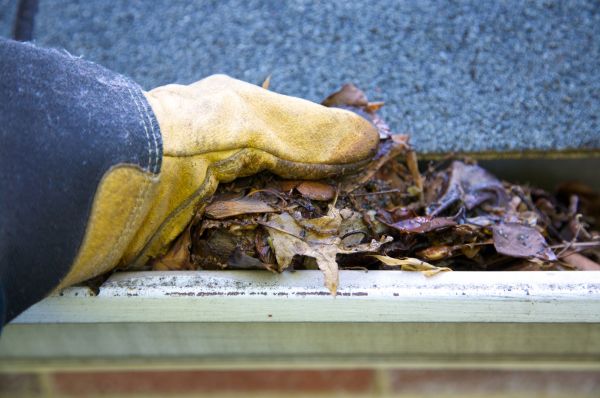 Jammed Gutter Cleaning in Fort Myers