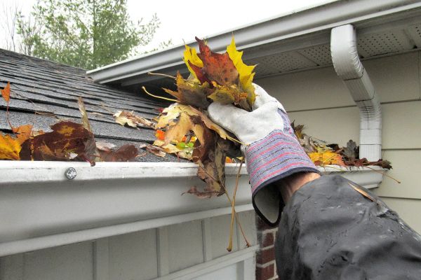 Gutter Blockage Removal in Fort Myers