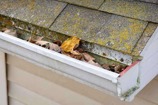 Garage Gutter Cleaning in Fort Myers