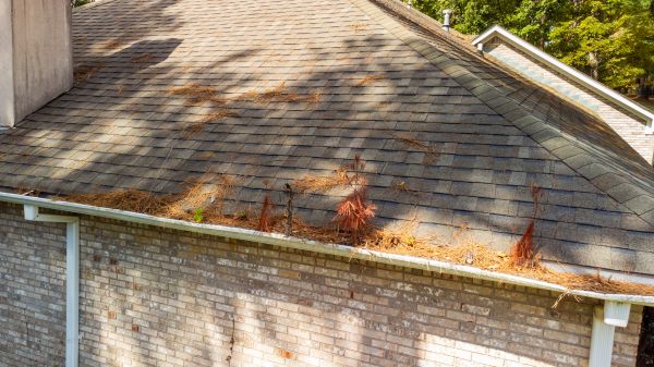 Gutter Pine Needle Removal in Fort Myers